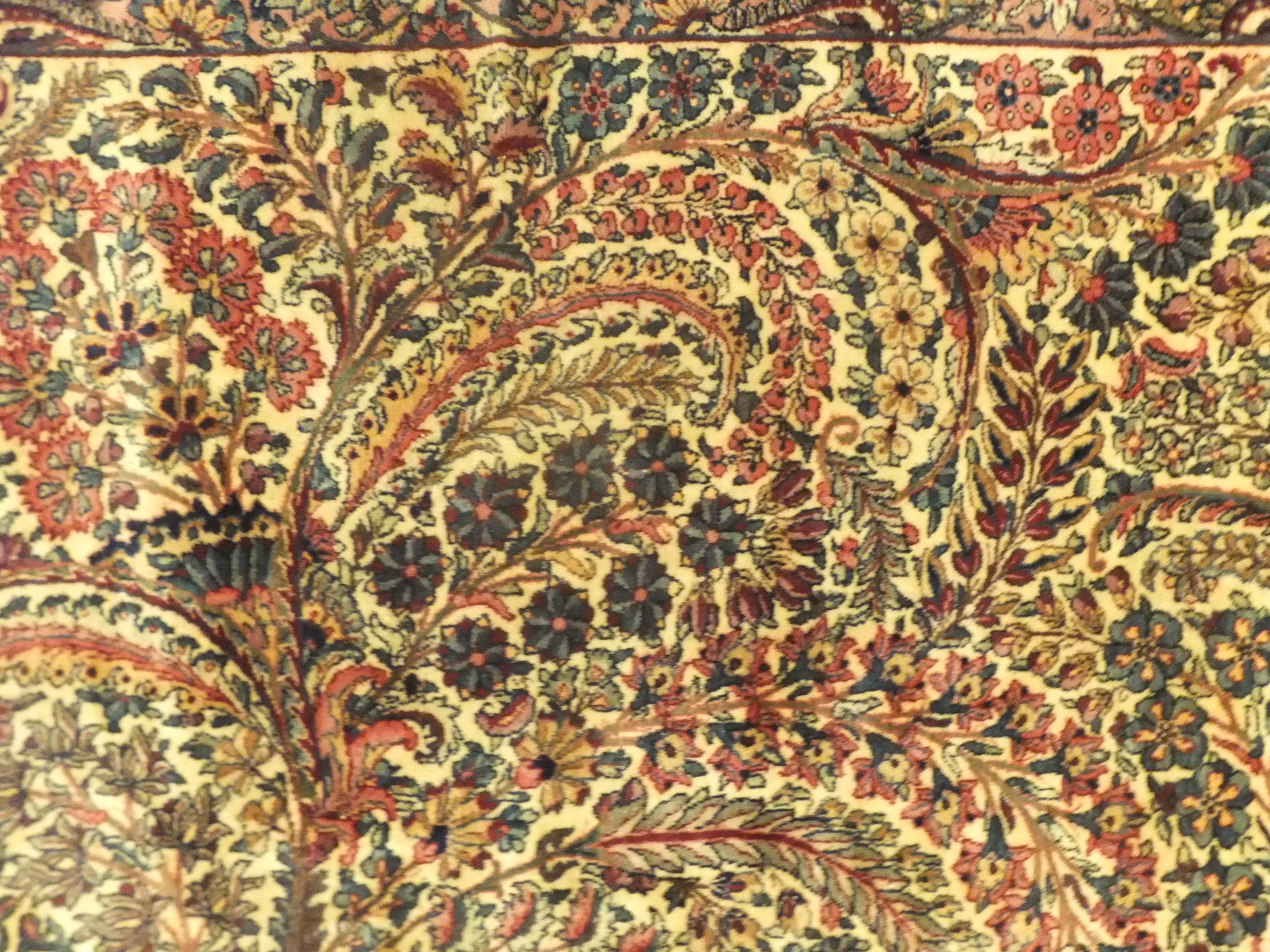 Rug image